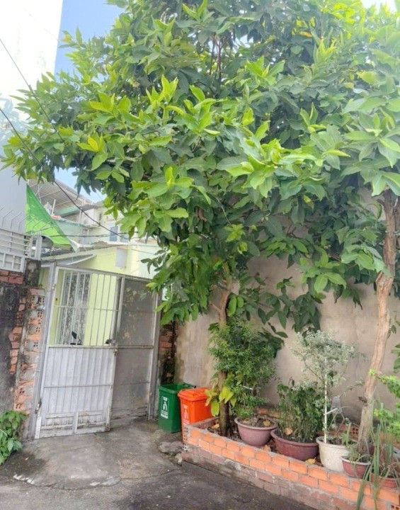 Nhà 190M2 Hẻm 1107 Dương Bạch Mai -P5-Q8