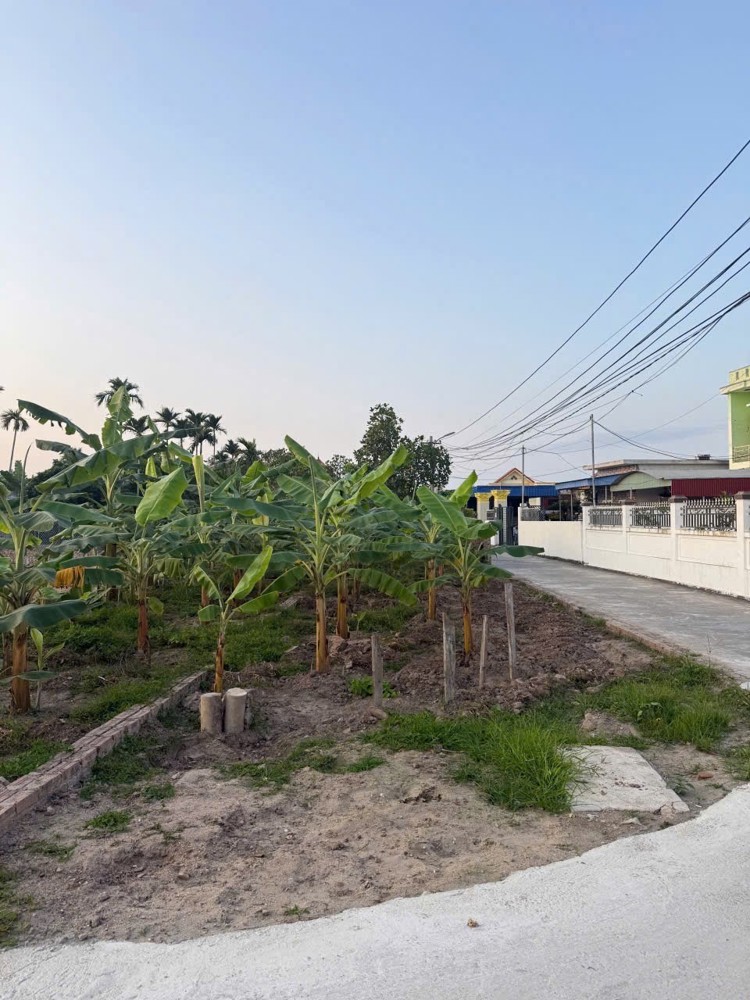 Đất Đẹp Hòa Nghĩa - Dương Kinh - Ngõ Rộng Ô Tô Đỗ Cửa