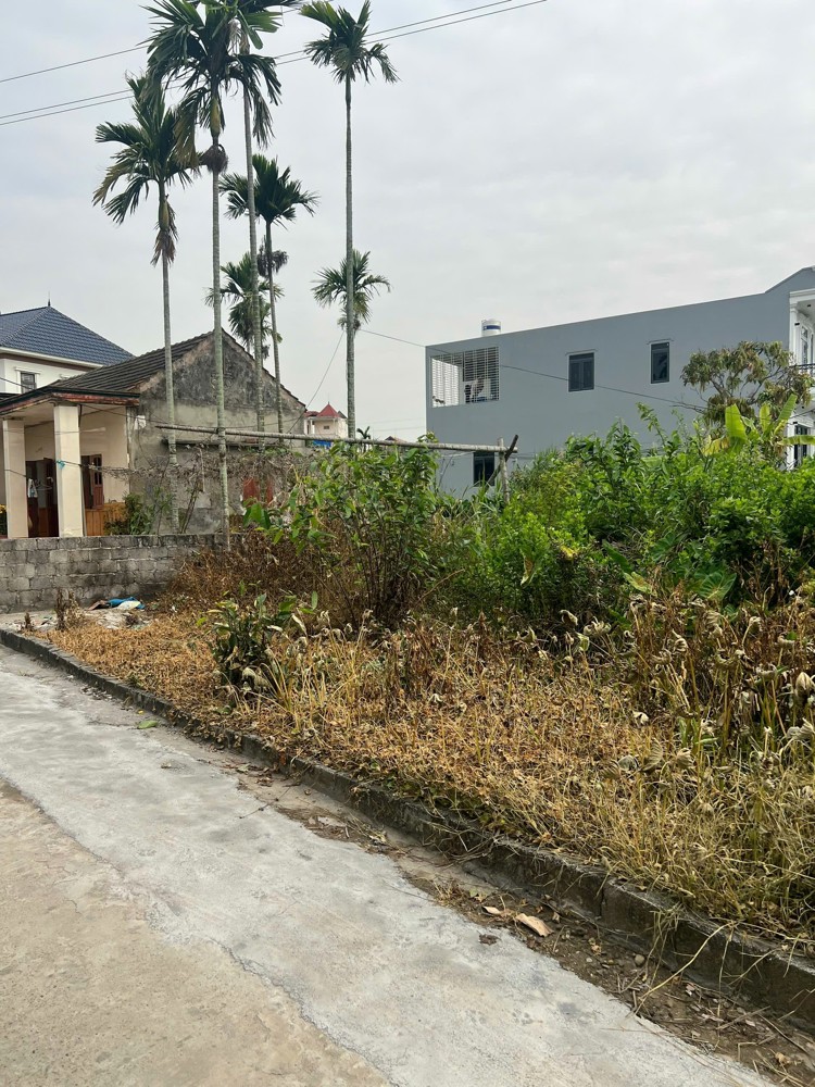 Bán Lô Đất Đẹp Tại Tổ Dân Phố 12 - Phường Hòa Nghĩa - Dương Kinh