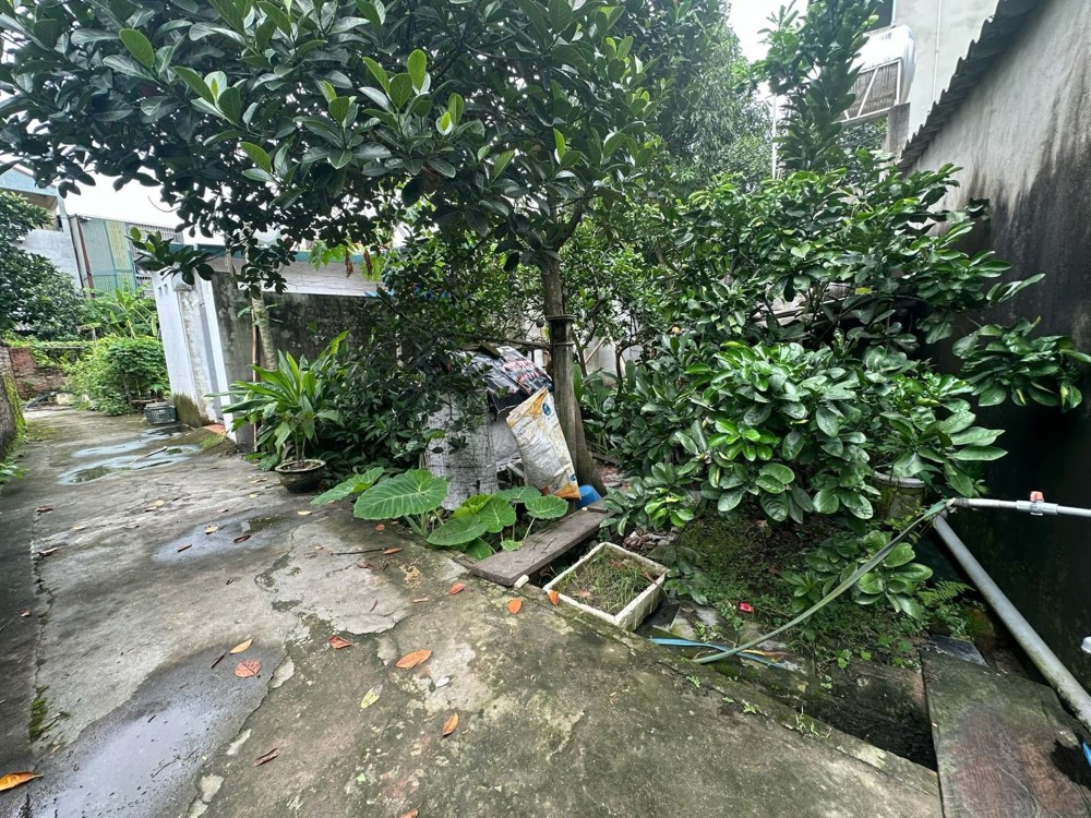 Chỉ #2,3 Tỷ Có Ngay 1 Lô Tại Thôn Đoài, Việt Hùng, Đông Anh. 52M2