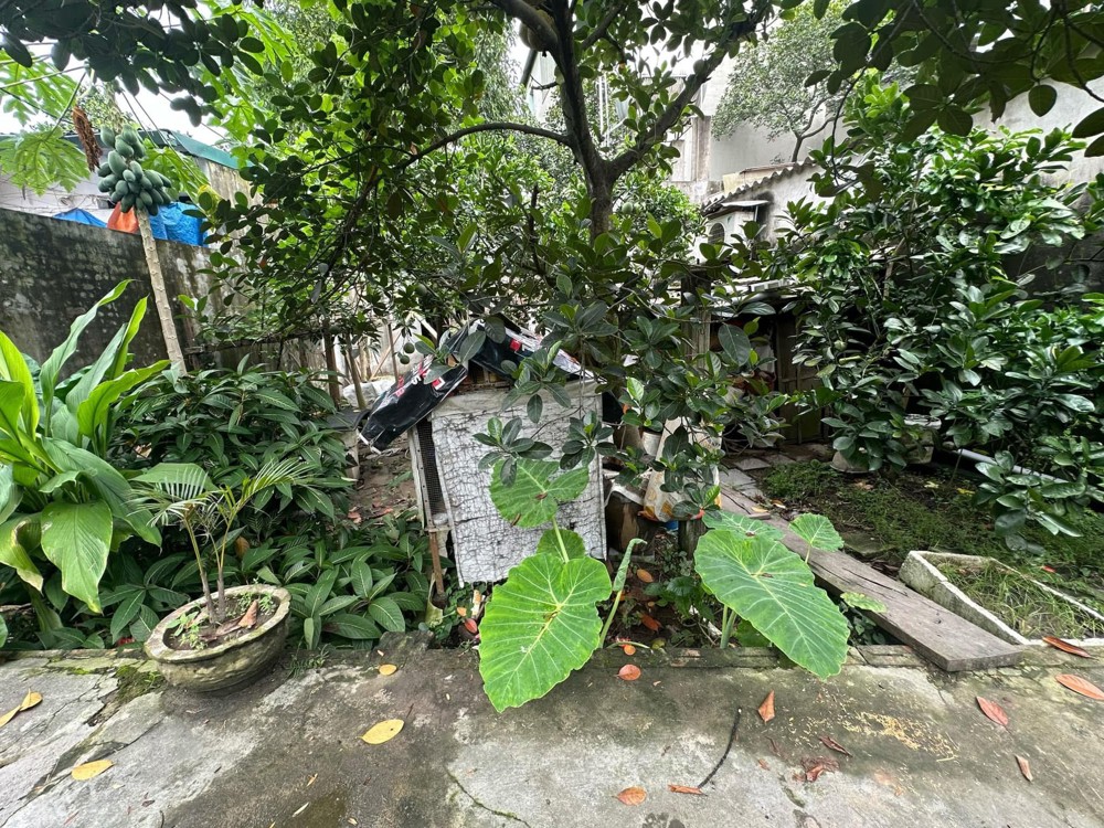 Chỉ #2,3 Tỷ Có Ngay 1 Lô Tại Thôn Đoài, Việt Hùng, Đông Anh. 52M2