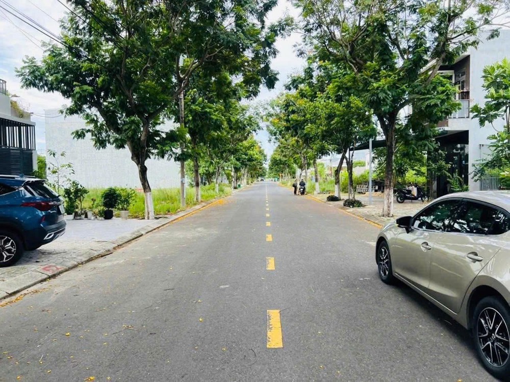 Cặp Đất Biển Tân Trà - Hoà Hải Ngũ Hành Sơn - Hiếm Có Khó Tìm - Võ Văn Đồng Thông Biển Tân Trà