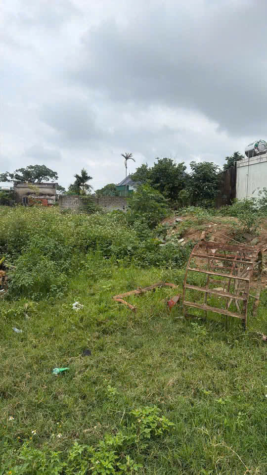 Cc Cần Tiề.n Bá.n Nhanh Lô Đất Đẹp Tại Xuân Thành, Hà Tĩnh - Gi.á Mềm Hơn Các Lô Bên Cạnh