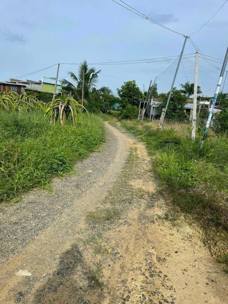 Giá Tốt - Chính Chủ Cần Bán Nhanh Lô Đất Vị Trí Tại Huyện Hàm Thuận Nam, Tỉnh Bình Thuận