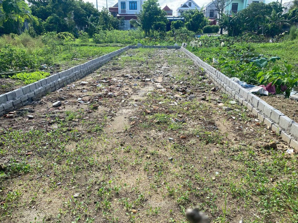 Bán Lô Đất Giá Cực Tốt Tại Khu Đấu Giá Tam Kiệt, Trung Tâm Xã Hữu Bằng (Nay Là Xã Kiến