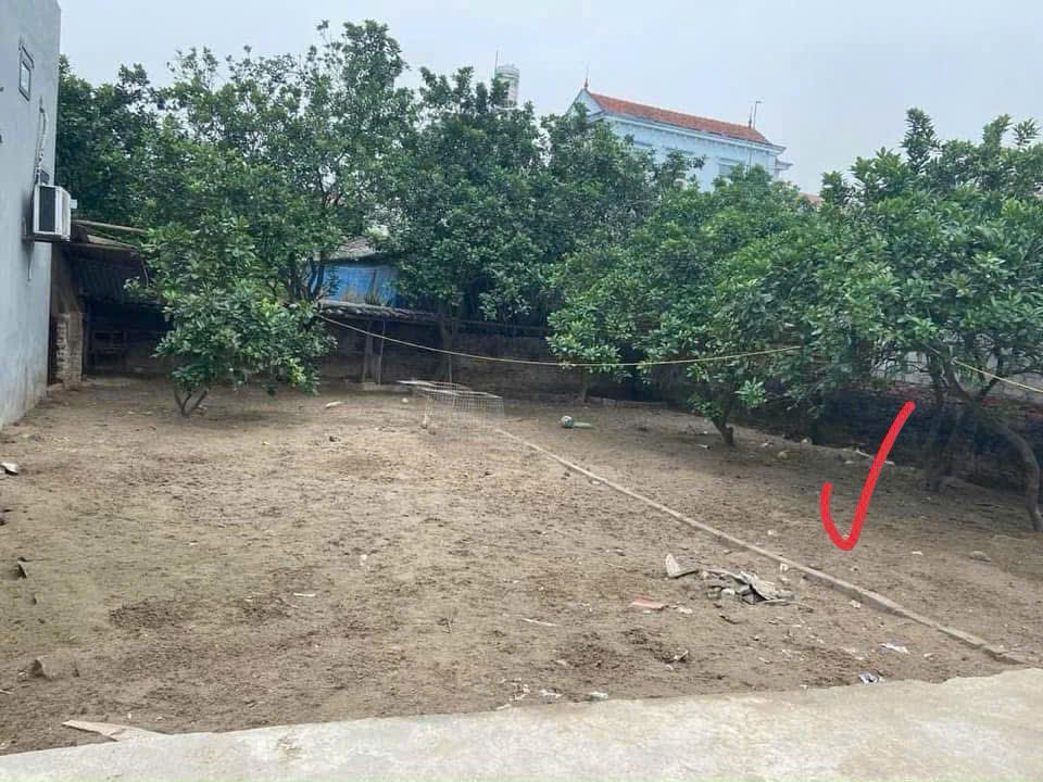 Đất Chính Chủ - Thổ Cư 100% Hàng F0 Đan Kim, Xã Liên Nghĩa, Huyện Văn Giang, Hưng Yên