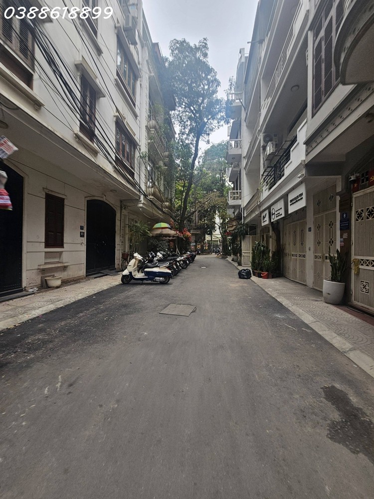 Bán Biệt Thự Phân Lô Hoàng Cầu - Ô Tô Tránh - 100M2 - 4 Tầng - Mt 10M - 51,5 Tỷ