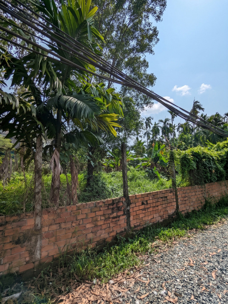 [D2284] Đất Sổ Hồng Riêng Vườn Cau Đỏ - Nở Hậu Đắc Lộc Giá Lộc Phát 9.X Tỷ!