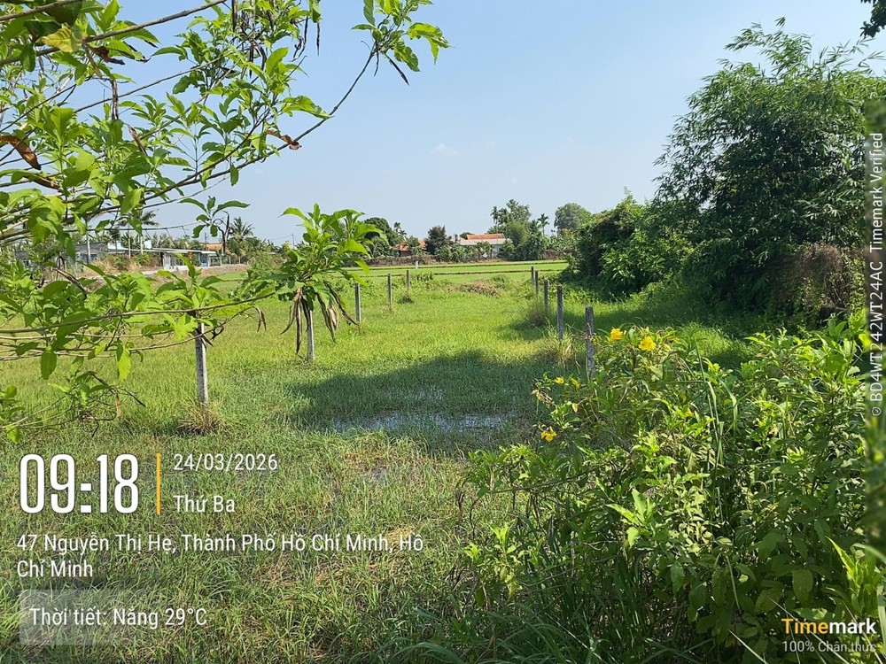 Chỉ 1,8 Tỷ Sở Hữu Ngay Lô Đất Mặt Tiền Đường Nhựa Tại Củ Chi – Cơ Hội Đầu Tư Hiếm Có