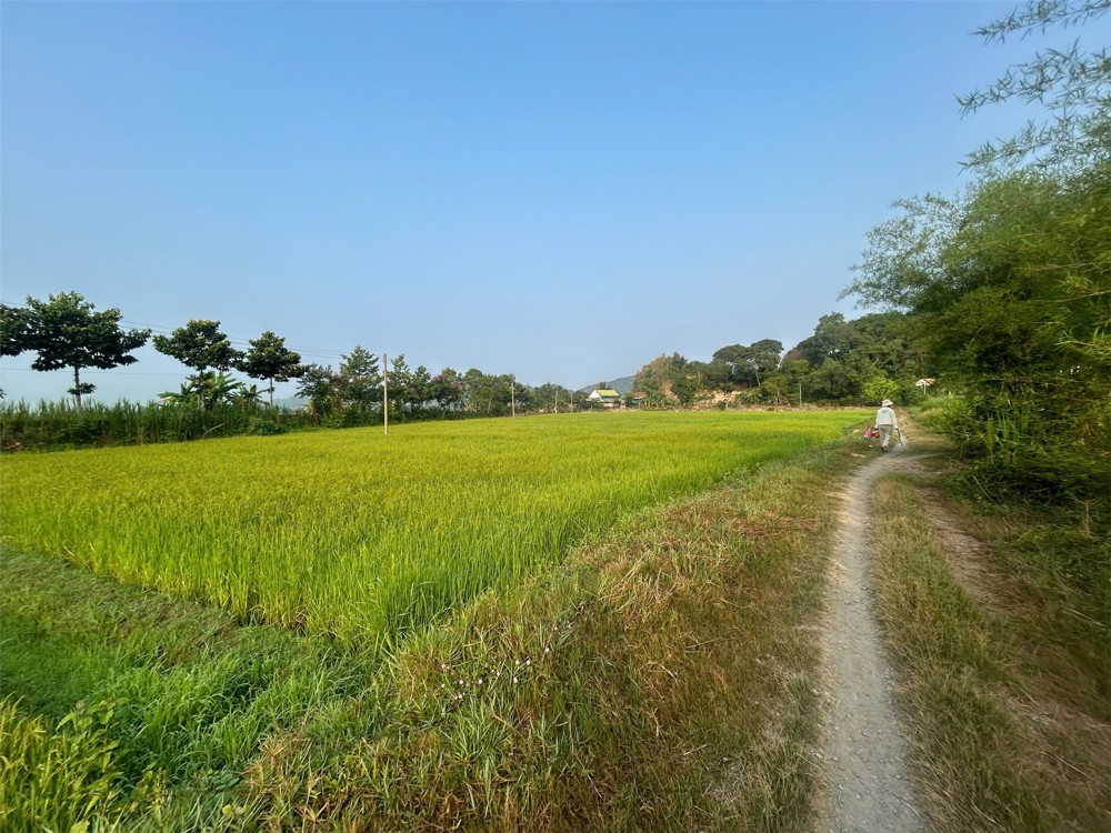 Đất Nhà Vườn – Giá Tốt – Chính Chủ Cần Bán Đất Tại Thôn 4, Xã An Nhơn Cũ, Huyện Đạ Tẻh, Lâm Đồng