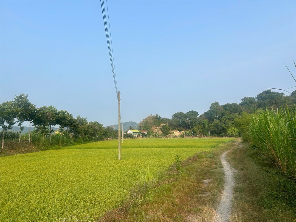 Đất Nhà Vườn – Giá Tốt – Chính Chủ Cần Bán Đất Tại Thôn 4, Xã An Nhơn Cũ, Huyện Đạ Tẻh, Lâm Đồng
