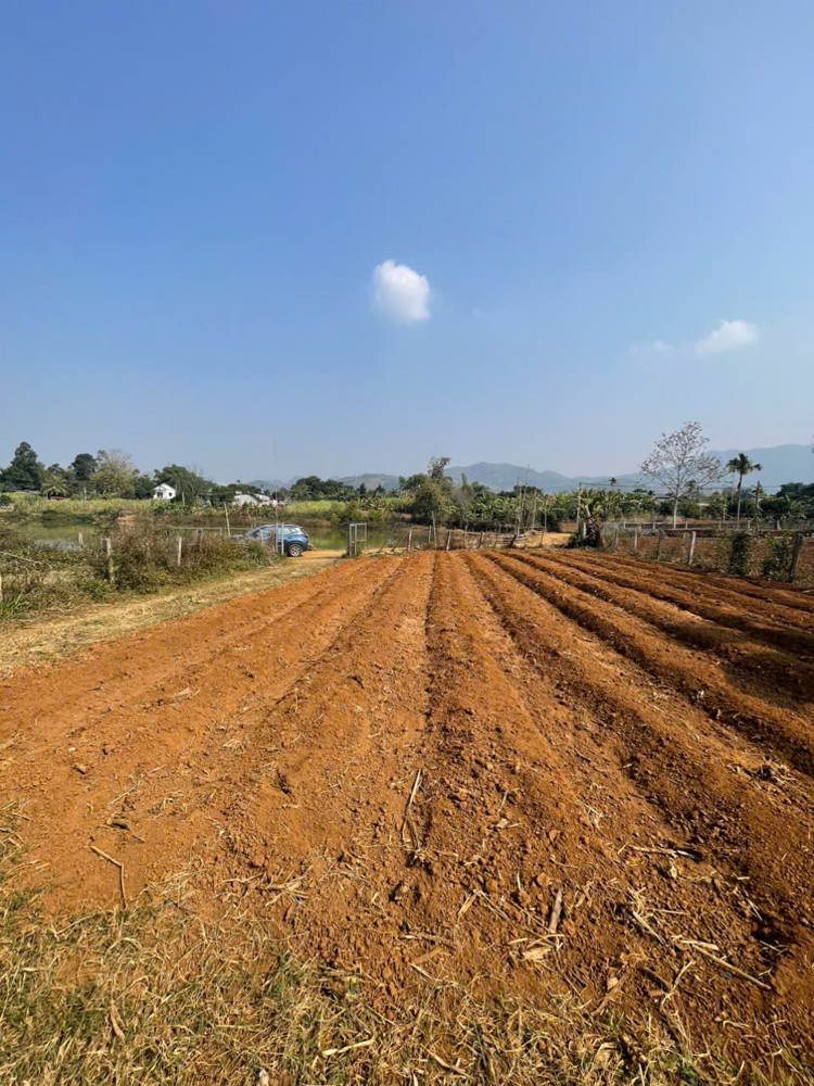 Đất Cao Phong Siêu Hiếm – 7.000M², View Hồ & Cánh Đồng, Giá Dưới 1 Triệu/m²