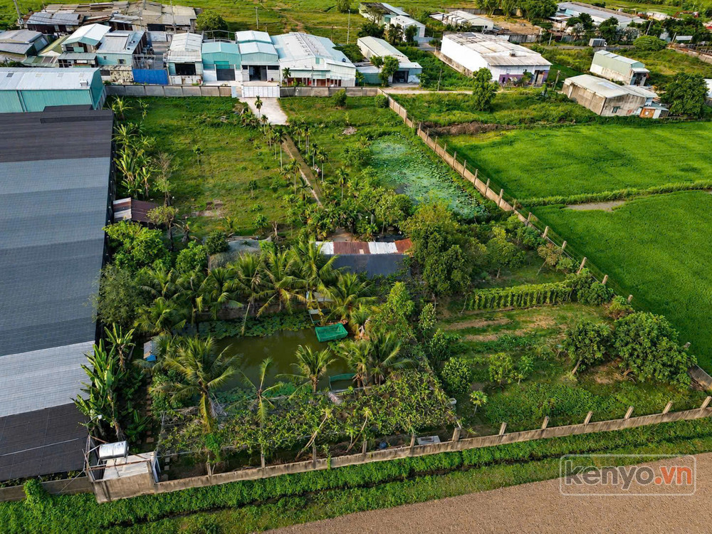 Đất Lớn Mặt Tiền Xuân Thới Sơn – Gần 6400M² – Ngang 65M Có Thổ Cư