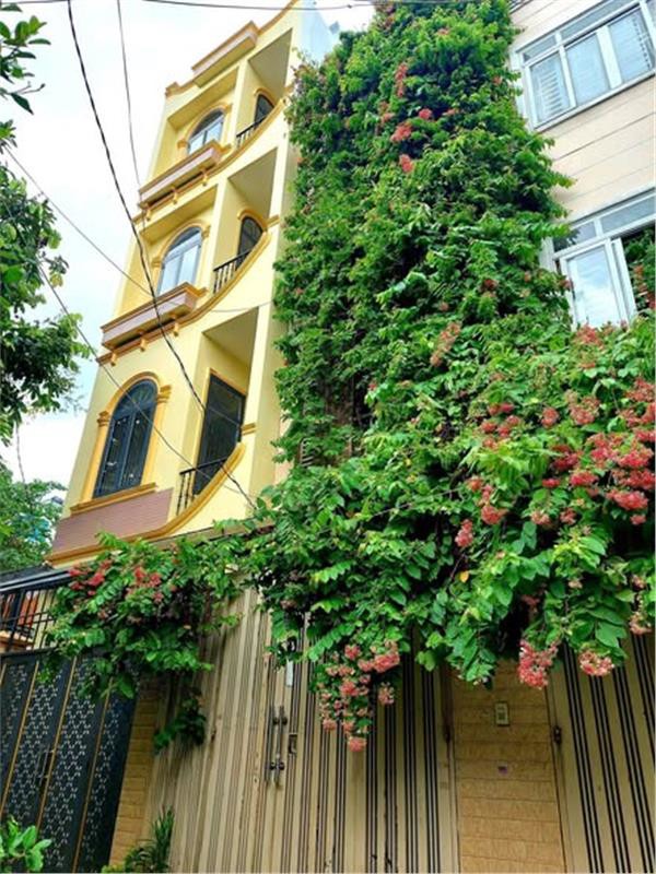Nhà Đất Thánh Phường 6 Quận Tân Bình