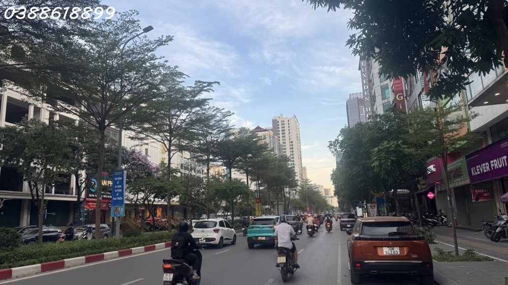 Bán Biệt Thự Đơn Lập Mặt Phố Trần Thái Tông - Cầu Giấy - 190M2 - Mặt Tiền 14M - 85,5 Tỷ