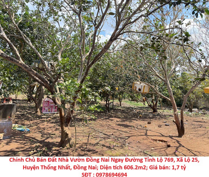 Chính Chủ Bán Đất Nhà Vườn Đồng Nai Ngay Đường Tỉnh Lộ 769, Xã Lộ 25, Huyện Thống Nhất, Đồng Nai