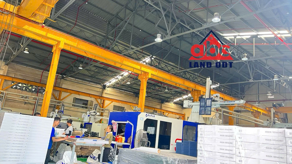 Xt119 Cho Thuê Xưởng Sản Xuất, Tiếp Nhận Linh Hoạt Ngành Nghề, Có Sẵn Nhiều Cầu Trục