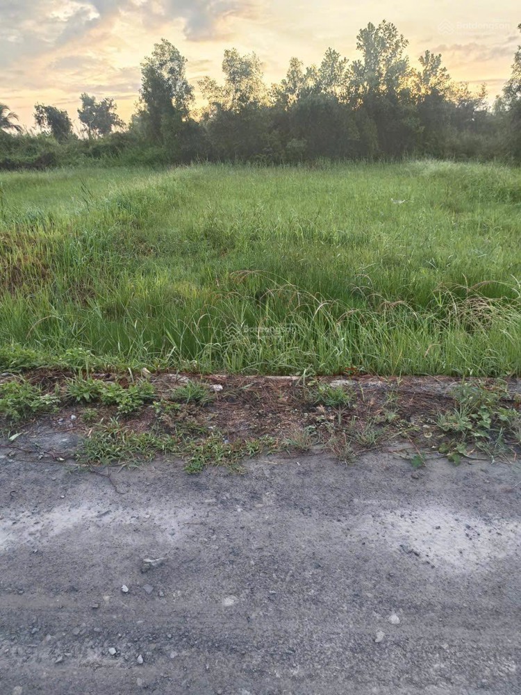 Hàng Hot Đất Thị Trấn Đức Hoà. Sổ Hồng Riêng