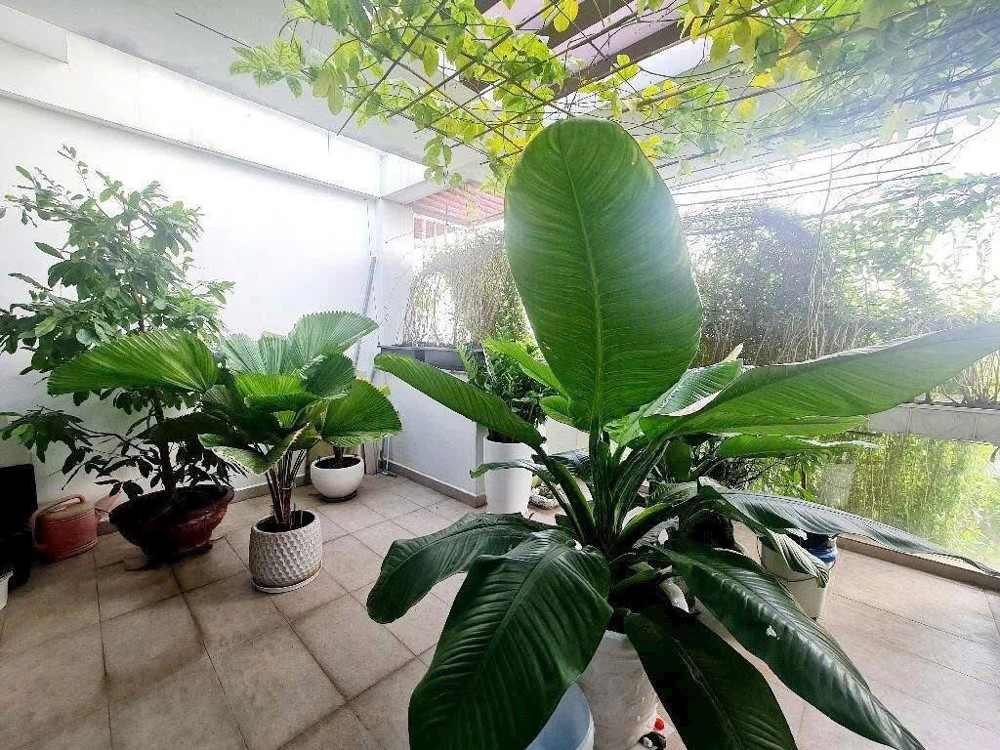 Chính Chủ Bán Nhà Vừa Ở Vừa Kinh Doanh Được Tại Xã Bình Hưng, Bình Chánh, Tp Hcm