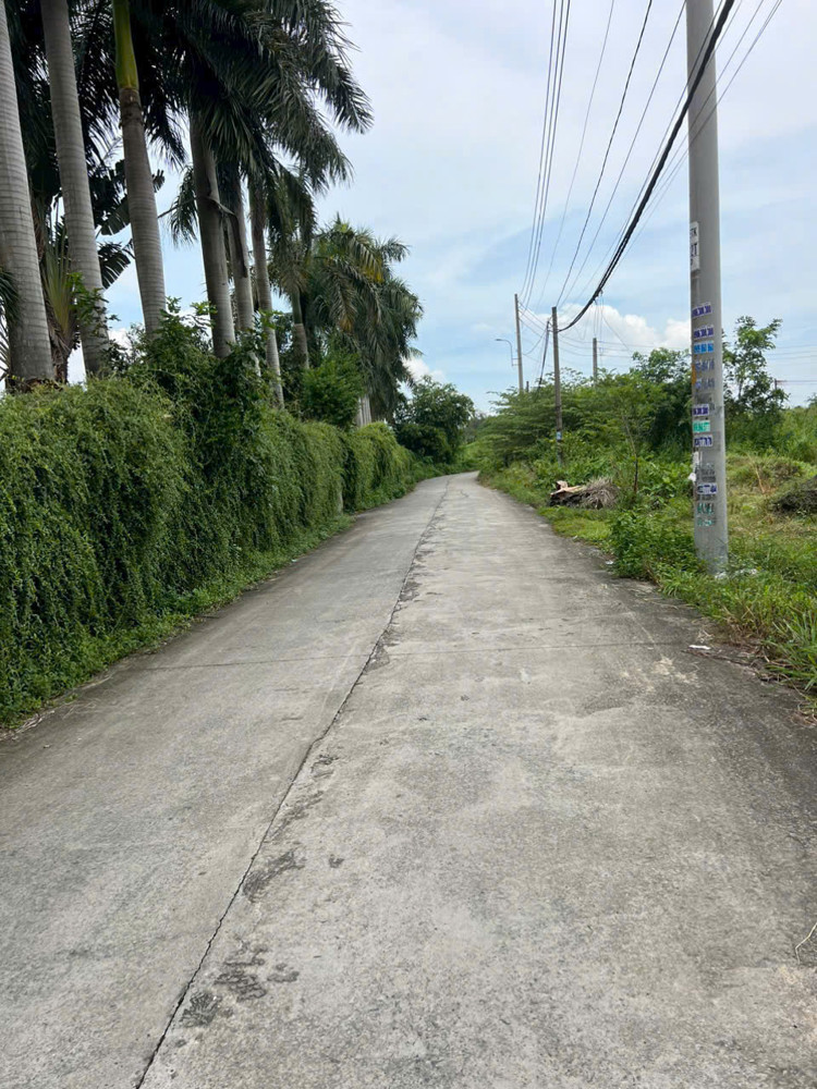Siêu Phẩm Đất Vàng (70X32) Mt Đồng Bà Canh, Lệ Thị Kim – Hóc Môn