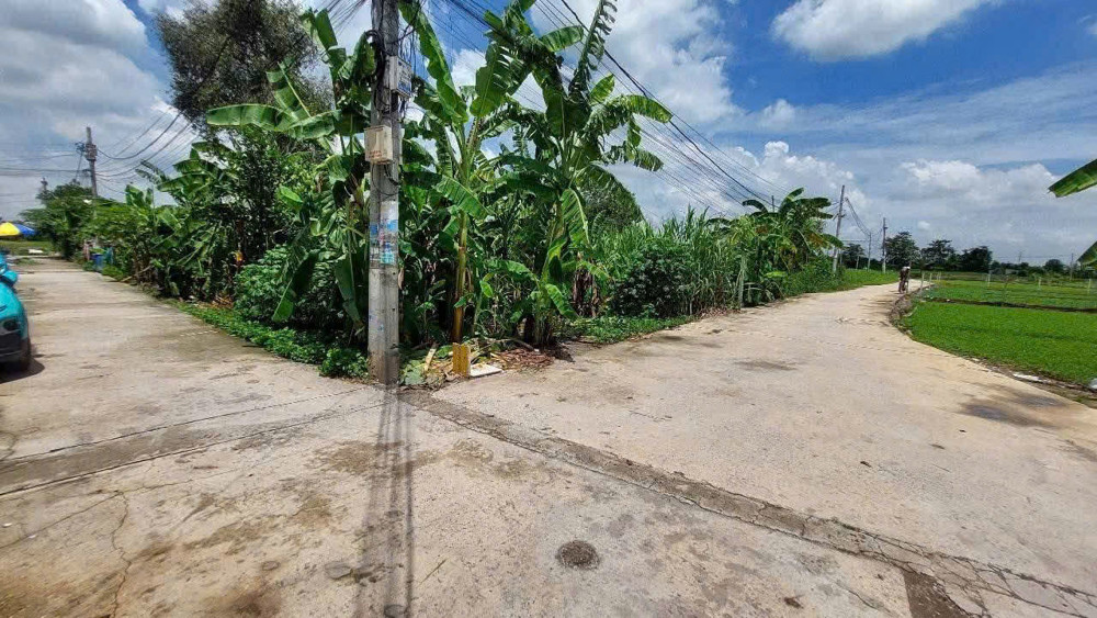 Hàng Thơm Bình Mỹ – 1.000M² Full Thổ Cư – Đường Xe Hơi – Giá Chỉ 10 Tỷ‼
