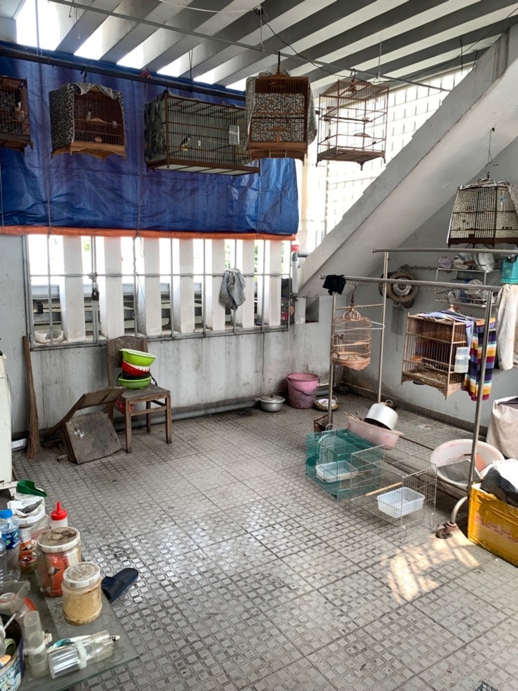 [K2370*] Nhà View Sông Lộng Gió, Ngang 7M Hiếm Có Gò Vấp!