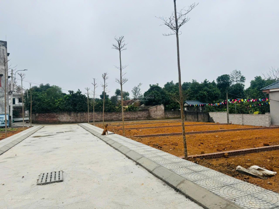 Bán Đất Thổ Cư Sổ Đỏ 100M2 Mt Đt 466 Phú Cát, Quốc Oai - 3.5 Tỷ