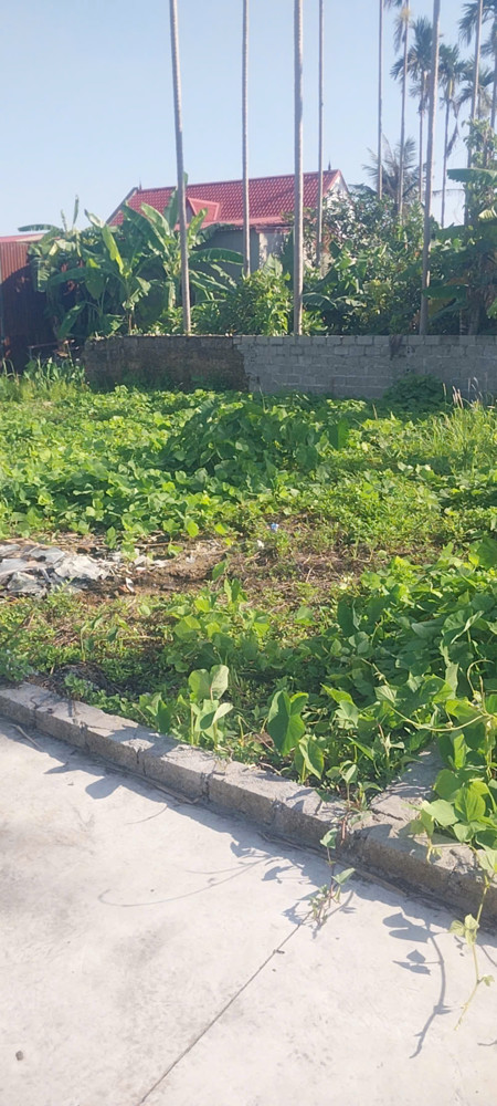 Đất Đẹp Trường Thành - Sát Kcn Tràng Duệ - Vị Trí Vàng Đón Sóng Tăng Giá - Đầu Tư Sinh Lời Cực Mạnh
