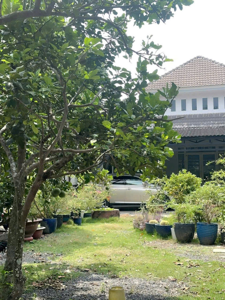 Bán Biệt Thự Vườn + Đất Mặt Tiền Nhựa – Tân Thông Hội, Củ Chi – Ngang Khủng 20M