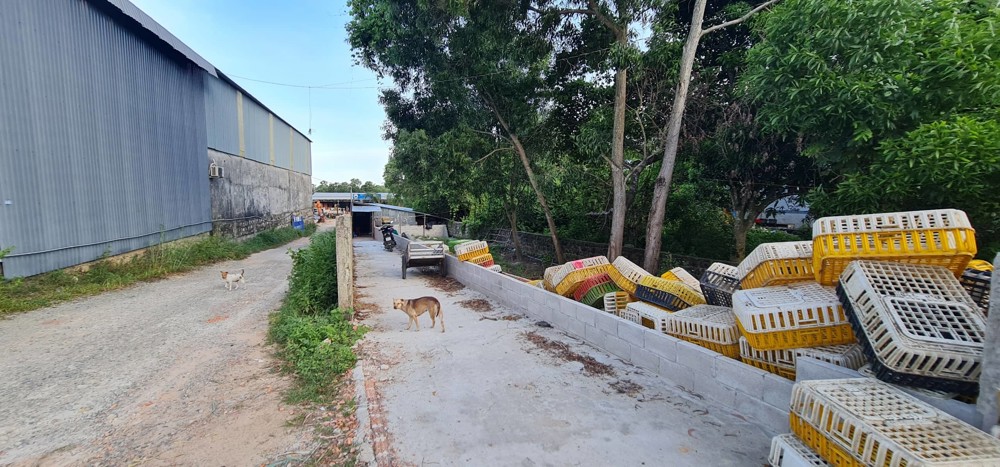 Chính Chủ Cần Bán 12.000M² Đất Tại Đặc Khu Phú Quốc – Đón Sóng Apec 2027