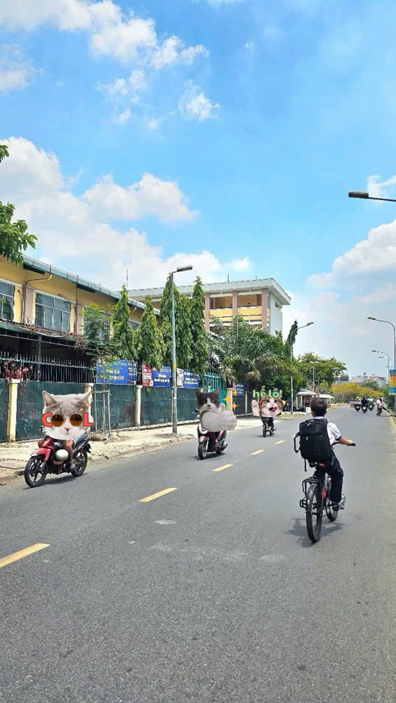 Bán Nhà Mặt Tiền Kd Ngay Trường Tiểu Học Bình Long - Dtsd100m2 - 2 Tầng - 5.4 Tỷ(tl)