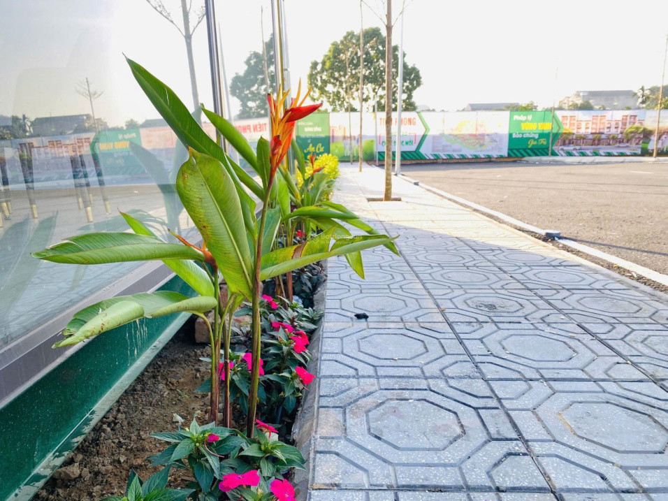 Đất Nền Đô Thị Khu Hòa Lạc Vị Trí Vàng Đón Sóng Phát Triển Phía Tây Hà Nội