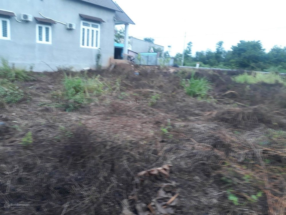 Bán Đất Thổ Cư 613,9 M2 Trung Tín Chế Biến Xuân Bắc, Xuân Lộc, Đồng Nai, 2,X Tỷ
