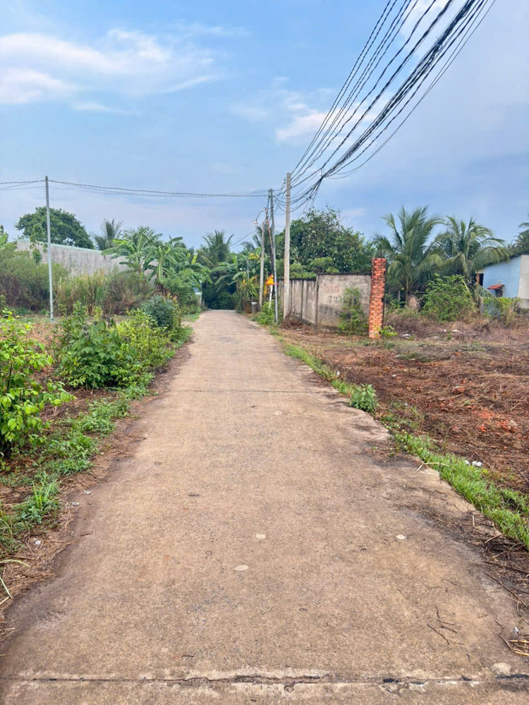 Bán Thu Hồi Vốn Lô Đất Trồng Cây Lâu Năm Giá 1,95 Tỷ