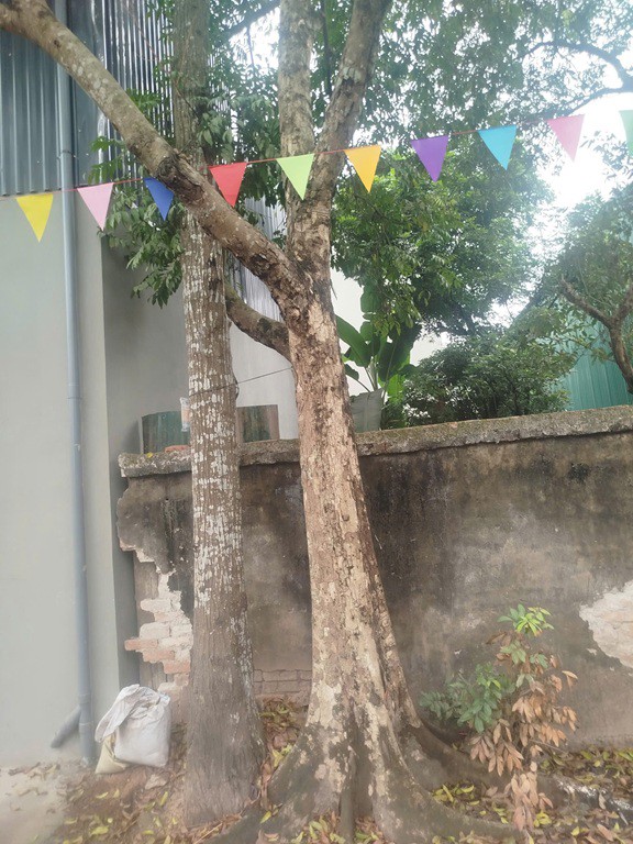 Đất Đẹp - Giá Tốt Chính Chủ Cần Bán Đất Thổ Cư -Xã Phụng Châu, Chương Mỹ, Hà Nội