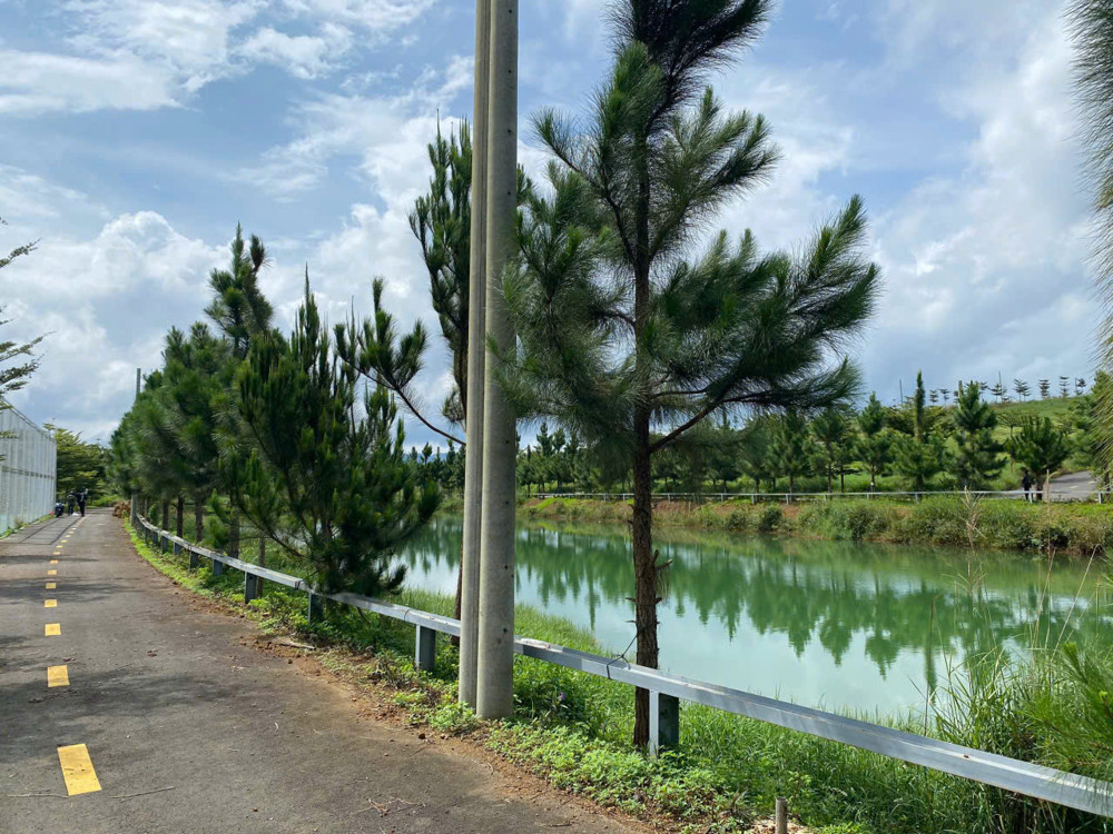 Giá Siêu Hấp Dẫn- Chính Chủ Cần Bán Nhanh 2 Lô Đất Liền Kề Vị Trí Tại Phường 2, Tp Bảo Lộc, Tỉnh