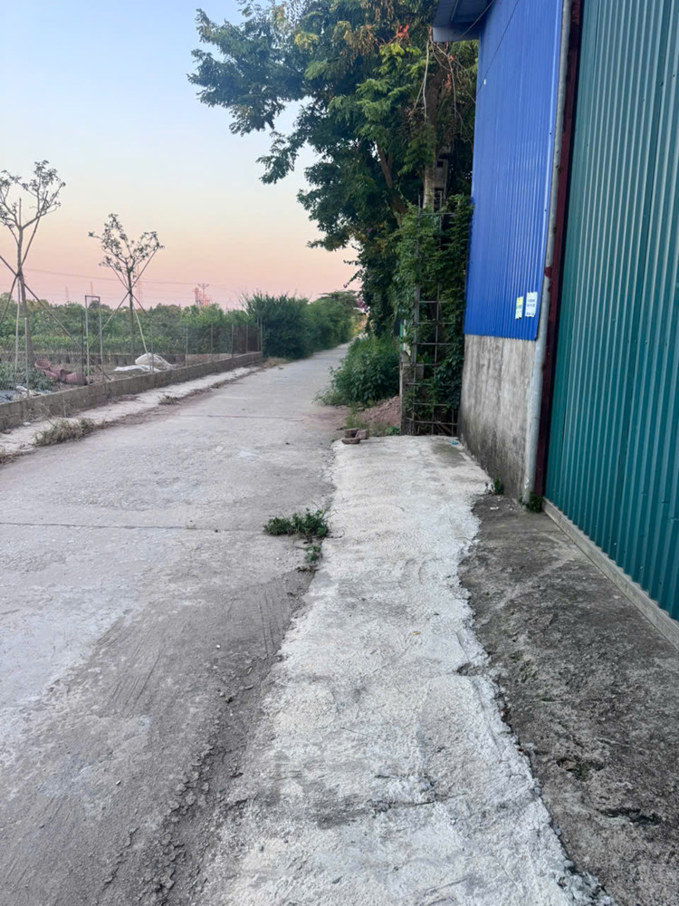 Xưởng Đa Phúc, Văn Giang, Dt2800m2, Mt40m, Ôtô Kd, 3.7 Tỷ Hưng Yên