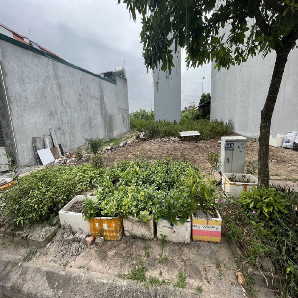 135M2 Đất Đấu Giá 31Ha Trâu Quỳ, Gl Hn Vị Trí Đẹp, Kinh Doanh Tốt. 0989894845