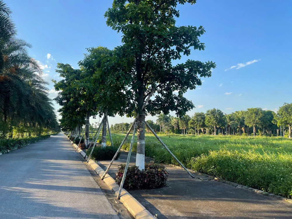 ► Mik Phố Nối – “Ecopark” Mới Của Mỹ Hào, Hưng Yên