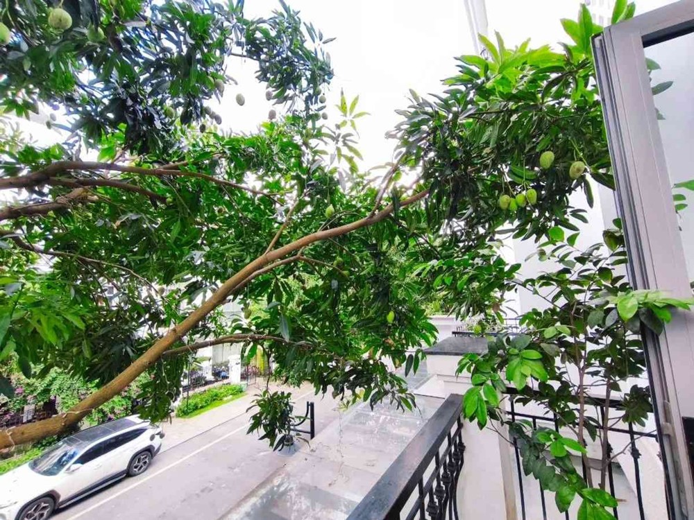 Nhà Thật - Vinhome Riverside 85M Gần Hồ Điều Hòa 37 Tỷ - Long Biên Hà Nội
