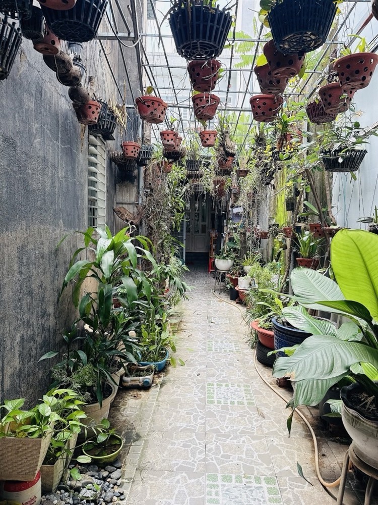 H2434 Sợ Cảnh Hẻm Nhỏ Xe Không Vào Được? Căn Này Đường Thông 8M!