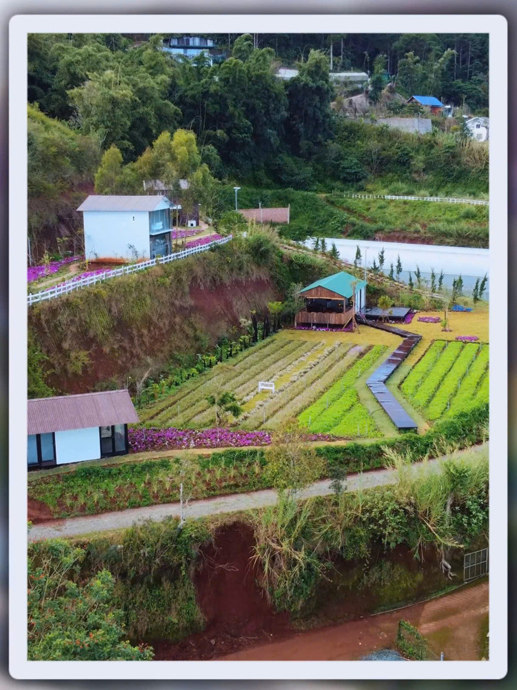 Cho Thuê Tổ Hợp Cafe & Homestay Tại Vạn Thành, Đà Lạt