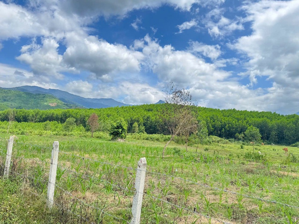 Đất Đẹp – Giá Tốt – Chính Chủ Cần Bán Thôn Tà Gộc, Xã Khánh Thượng, Huyện Khánh Vĩnh