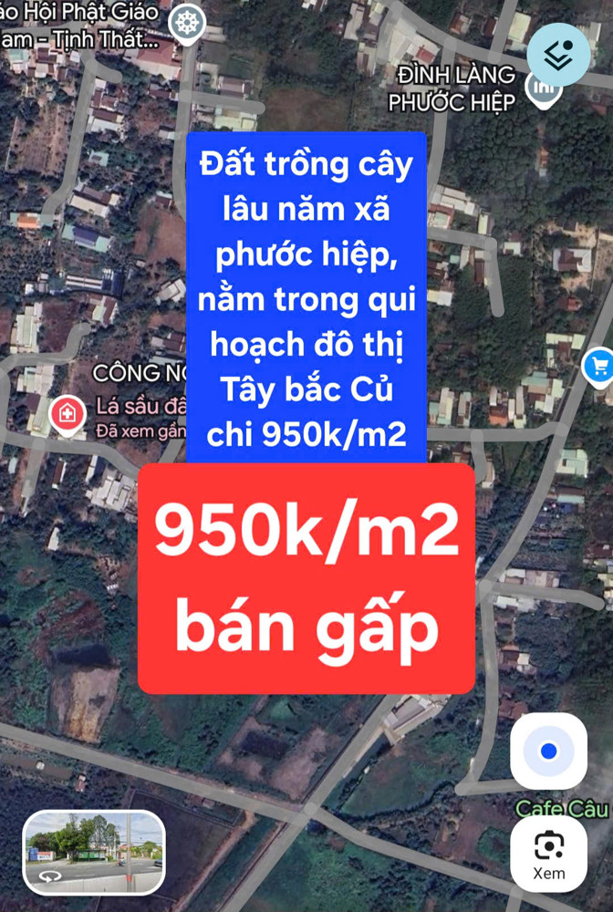 Bán Gấp 14.250M² Đất Trồng Cây Lâu Năm Tại Xã Phước Hiệp, Huyện Củ Chi, Tp Hồ Chí Minh - Chỉ