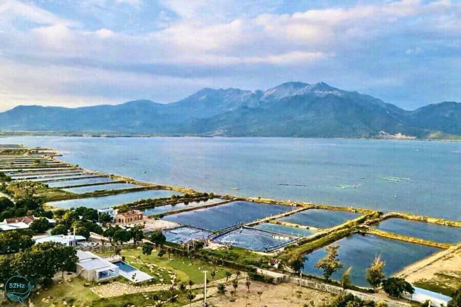 Hot Hot –Cần Bán Quỹ Đất Lớn – View Biển & Đầm Thủy Triều –Tại Cam Hải Đông, Cam Lâm, Khánh Hòa