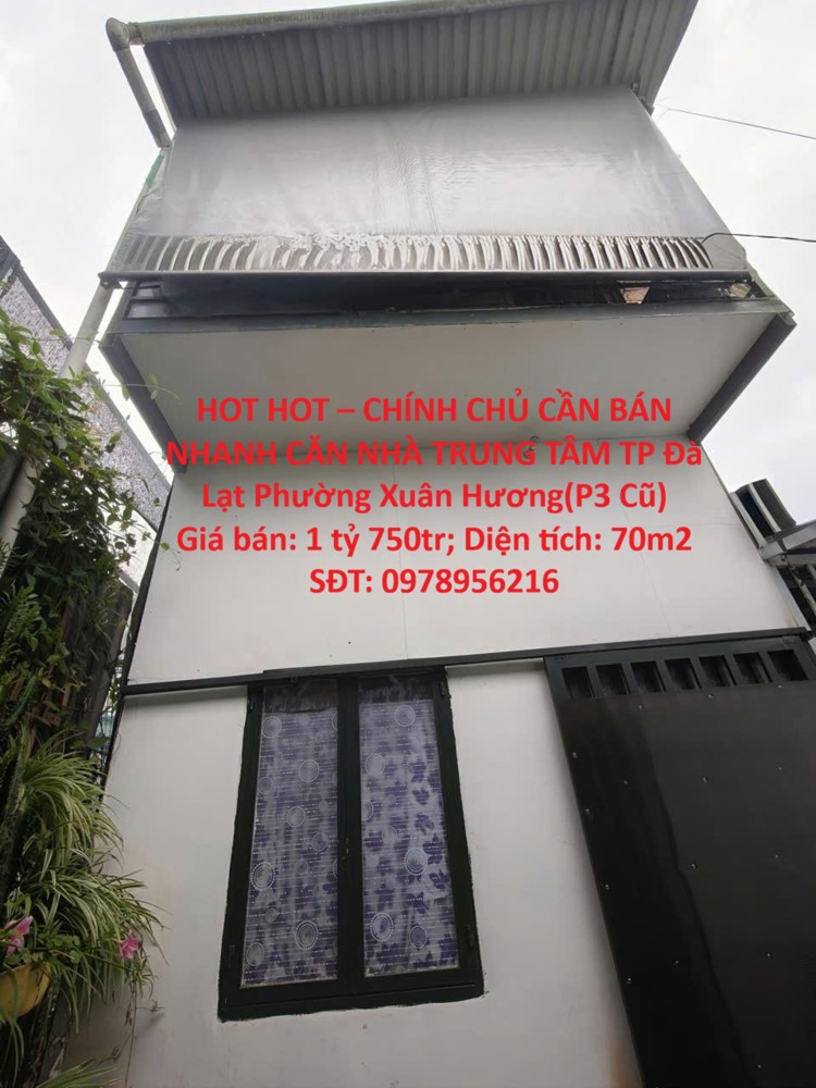 Hot Hot – Chính Chủ Cần Bán Nhanh Căn Nhà Trung Tâm Tp Đà Lạt Phường Xuân Hương(p3 Cũ)