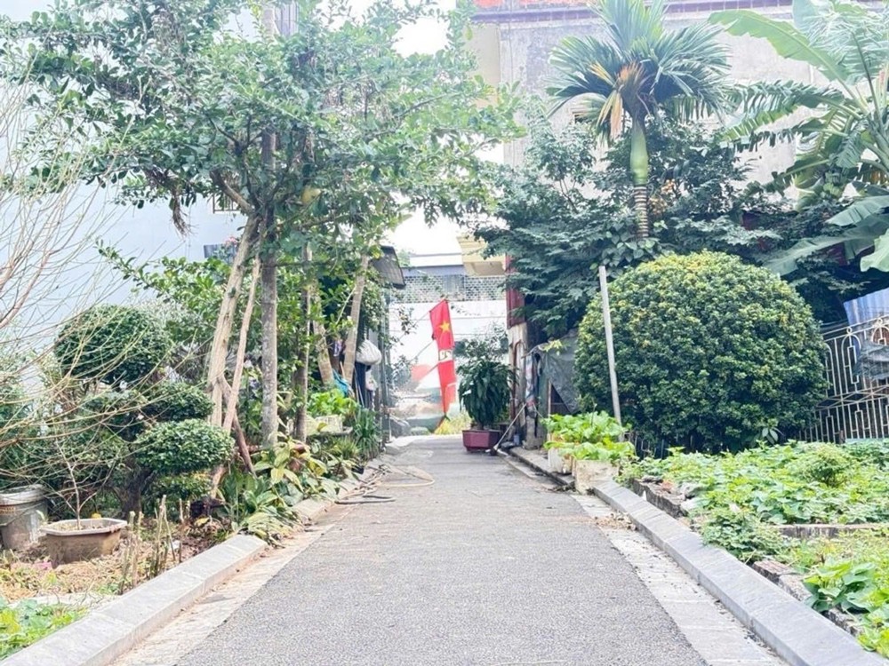 80M2 Đất Mai Lâm( Đông Anh) - 5.2 Tỷ