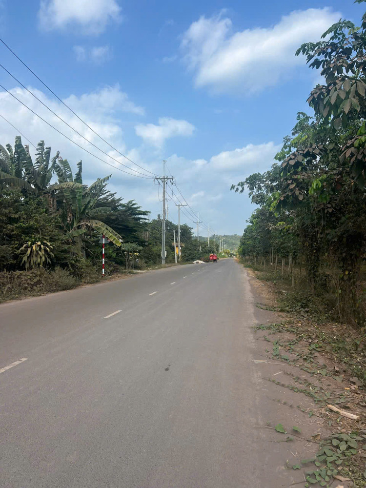 Bán Đất Kho Xưởng – Dầu Giây, Đồng Nai