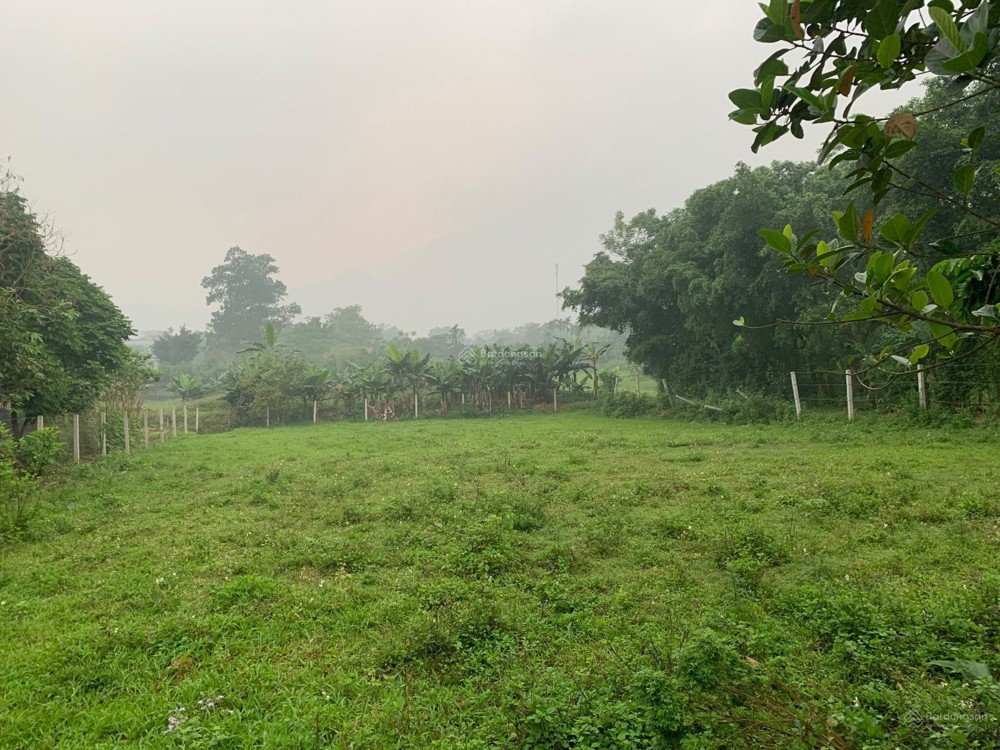 Chính Chủ Bán Nhanh 1.100M² Đất View Đẹp Tại Ba Vì Làm Homestay,Second Home