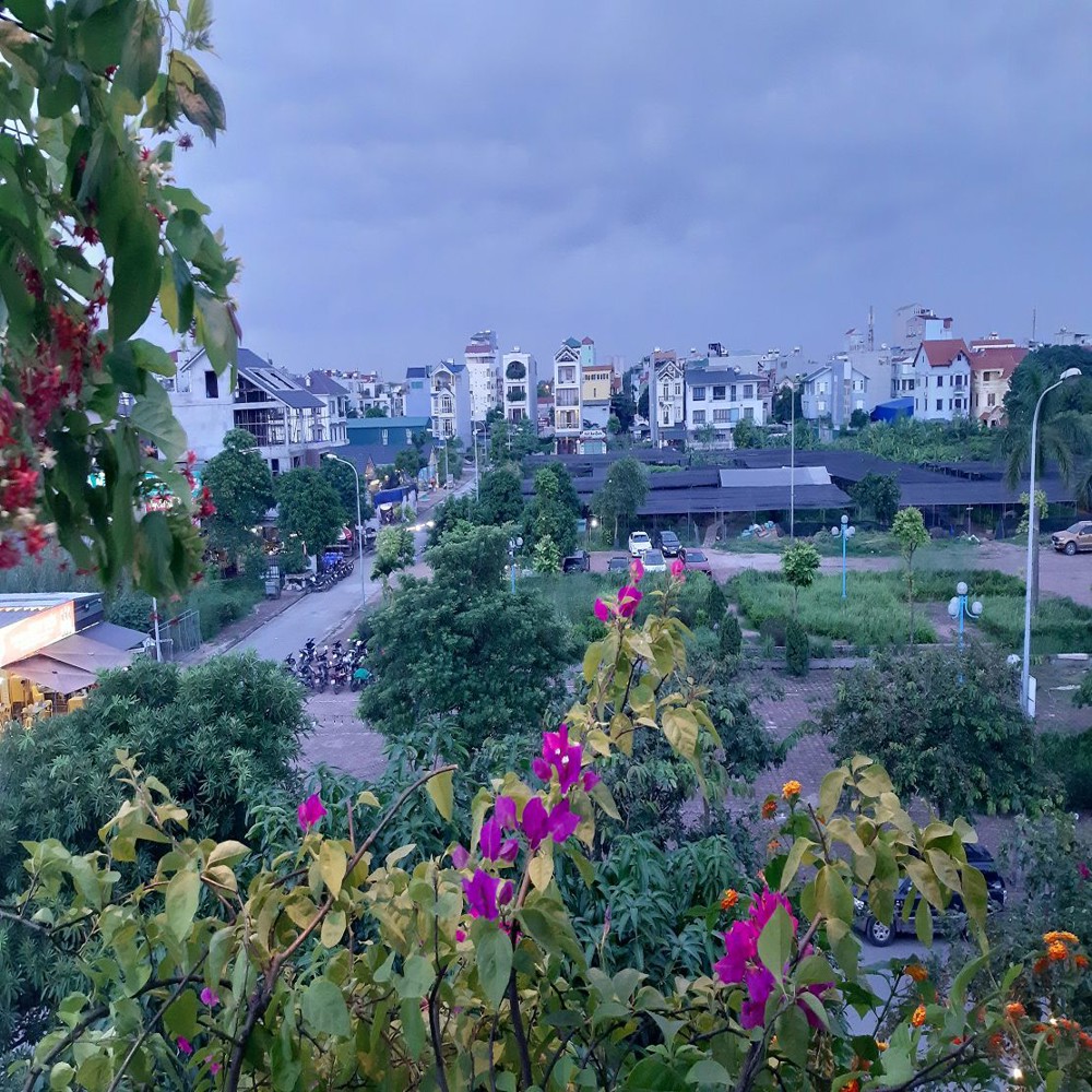 234M2 Đất Đấu Giá 31Ha Trâu Quỳ, Gia Lâm, Hà Nội. Giá Cực Tốt. Lh 0936098052